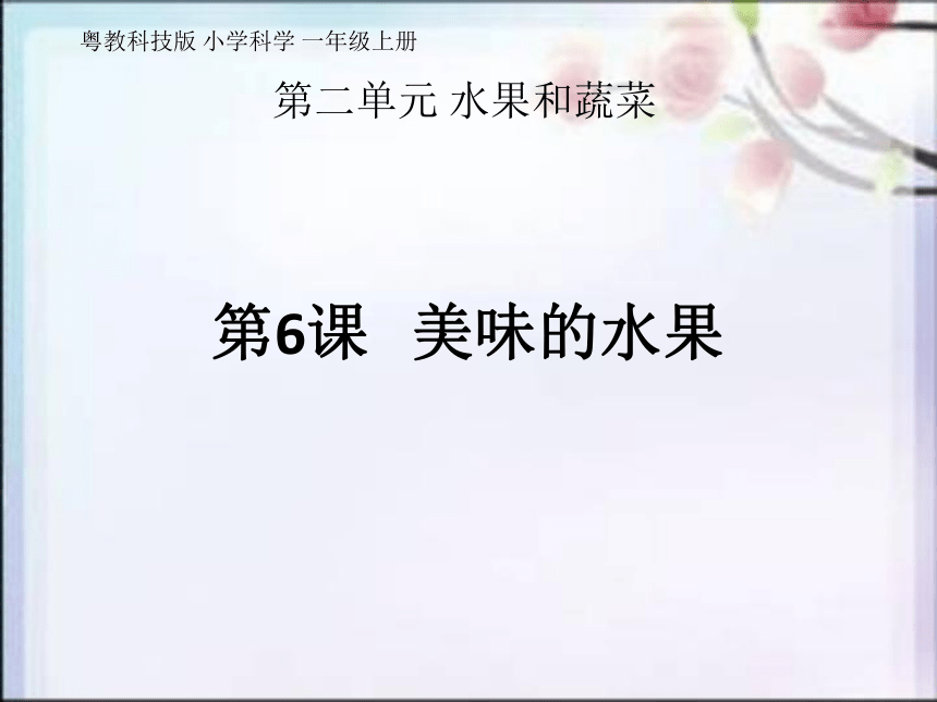 粤教粤科版（2017秋）一年级上册2.6美味的水果  （课件16ppt）