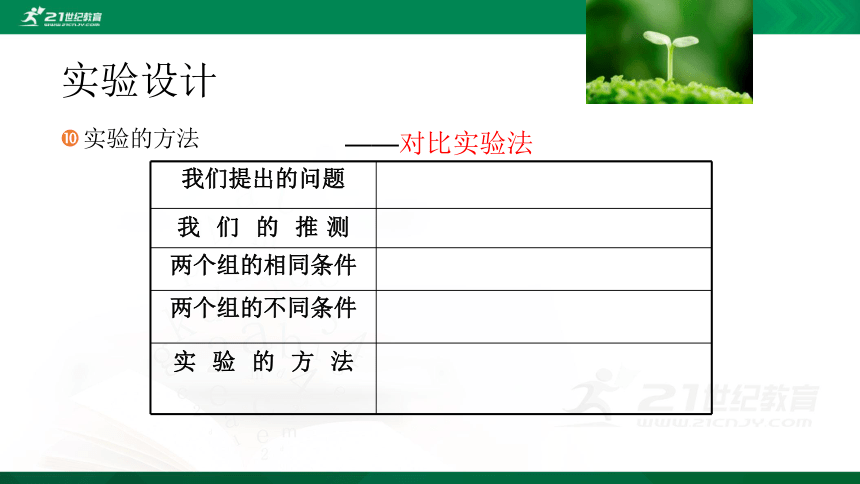 1.3 绿豆苗的生长 课件（22张PPT）