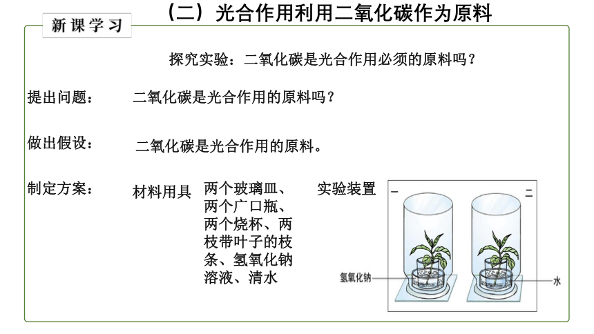 （人教版）初中生物七年级上册同步教学3.5.1 光合作用吸收二氧化碳释放氧气课件（(共27张PPT+动画1个)