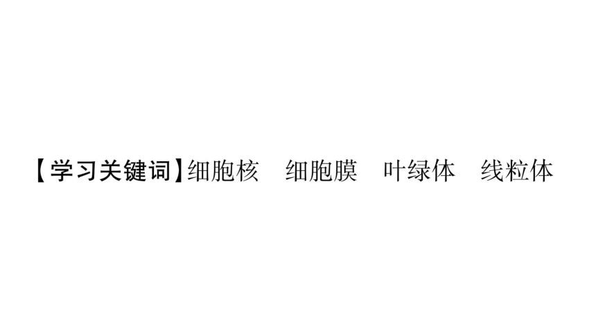 3.2 细胞是生命活动的单位-作业课件-2020年秋北师大版七年级上册生物(共30张PPT)