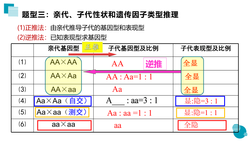 1.1孟德尔豌豆杂交实验（一）第3课时课件 (共21张PPT)人教版必修2