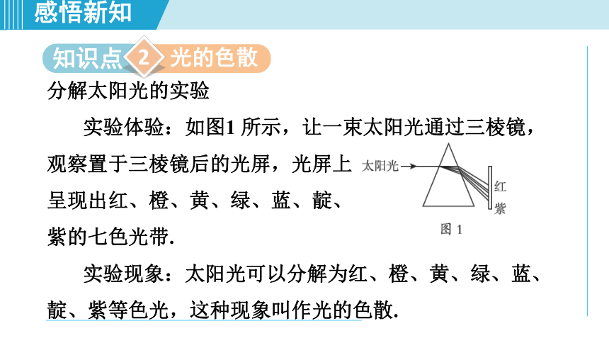 2023-2024学年苏科版八年级物理上册课件：3.1光的色彩 颜色(共31张PPT)