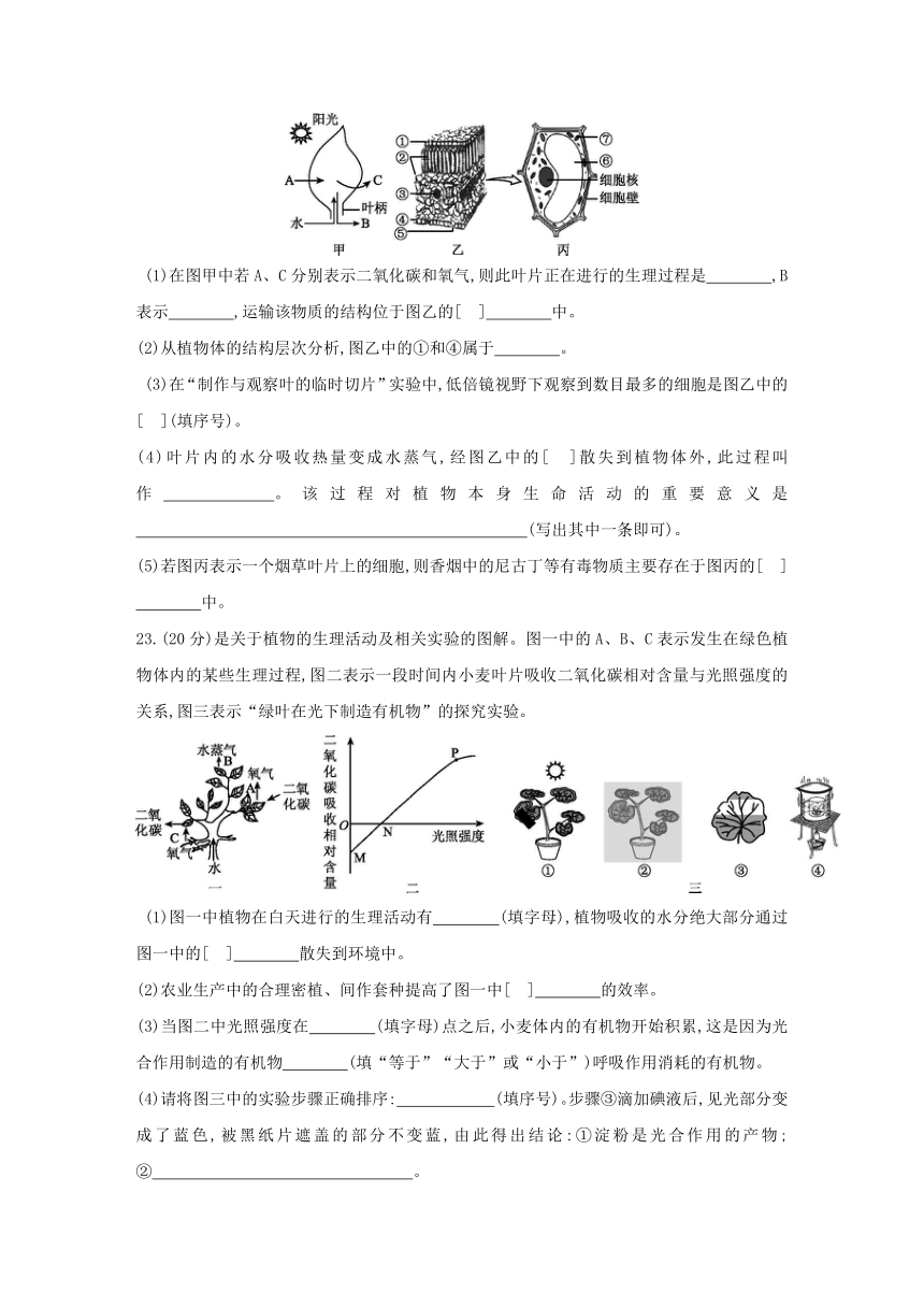 人教版生物学七年级上册同步练习：第三单元　第三~六章  单元综合测试(word版含答案）