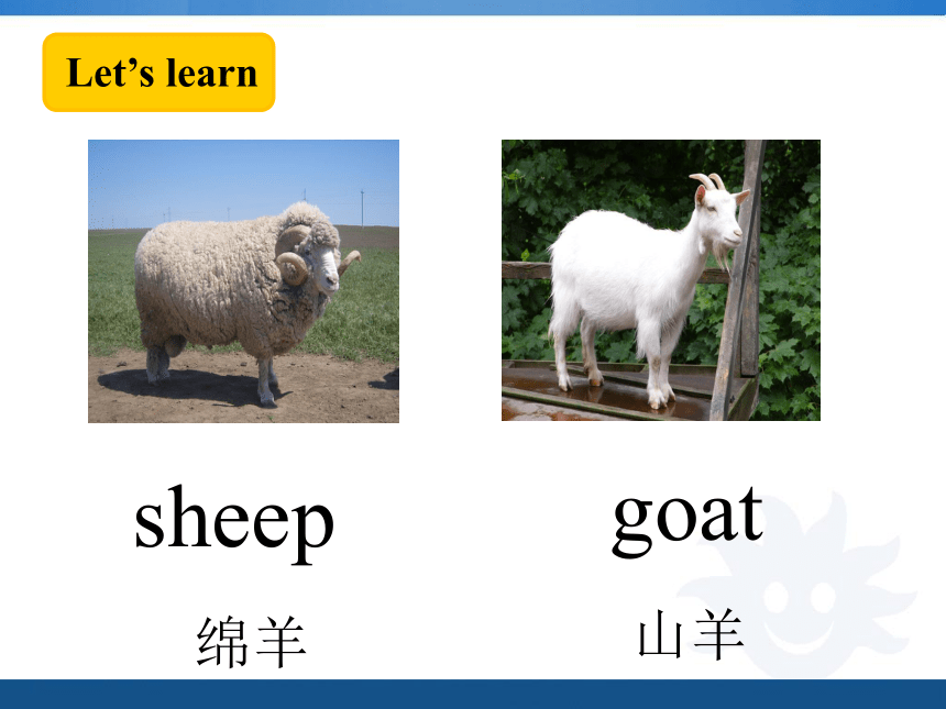 Module 1 Country life Unit 1 What are those farmers doing？ 课件（29张PPT)