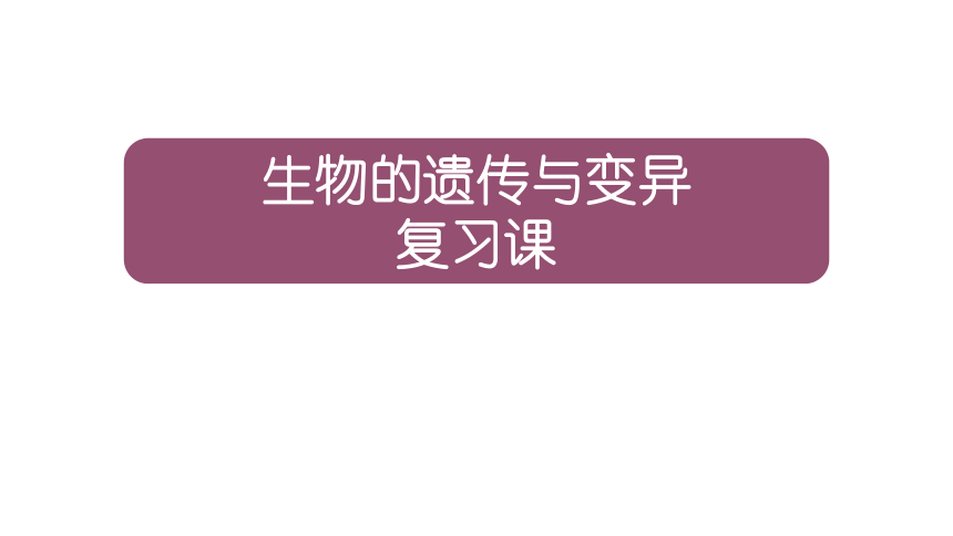 生物的遗传和变异 复习课件