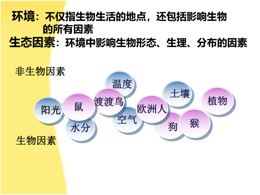 北师大版生物八年级下册8.23.1 生物的生存依赖一定环境 课件（25张PPT）