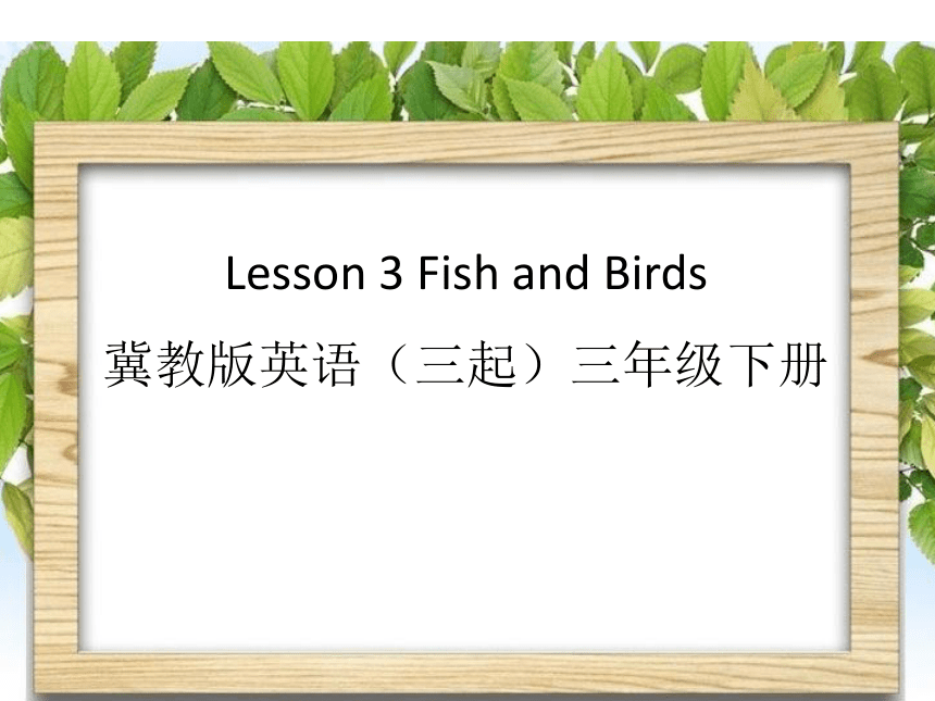 Unit 1 Lesson 3 Fish and Birds 课件(共21张PPT)