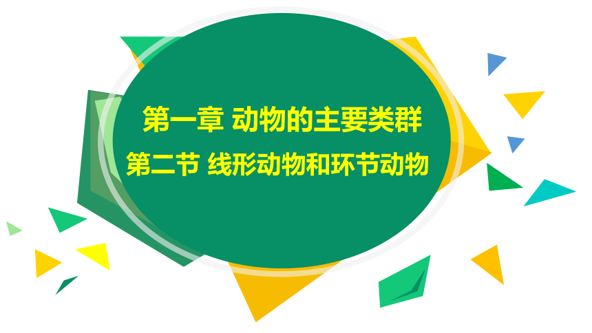 2021--2022学年人教版生物八年级上册5.1.2线形动物和环节动物课件(共28张PPT)