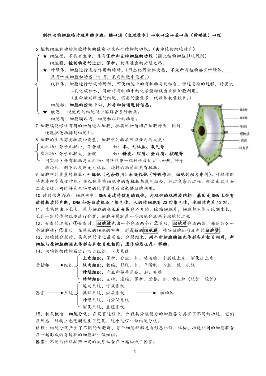 新人教版七年级生物上册期末复习资料