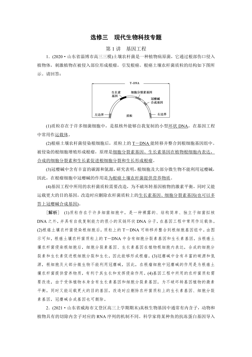 高中生物同步训练案 (35)基因工程（含答案详解）