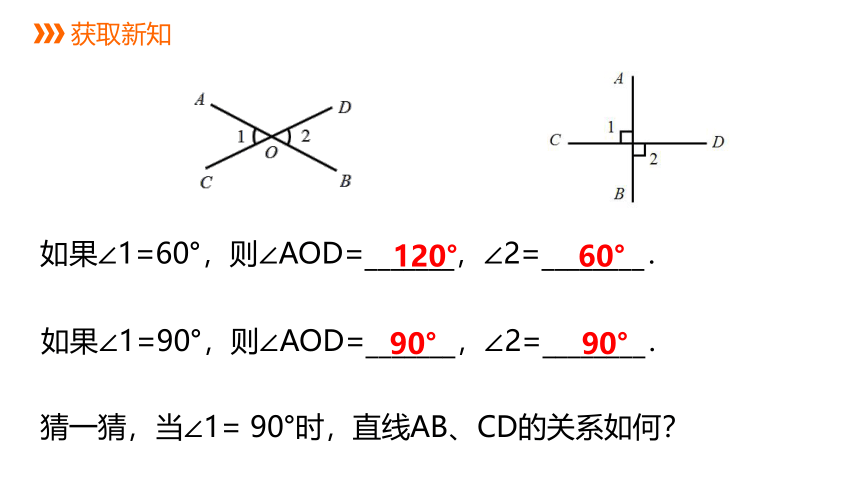 浙教版数学七年级上册：6.9.2 垂线  同步新授课件(共15张PPT)