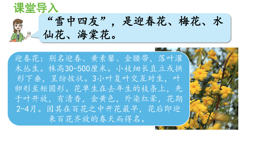 小学数学青岛版（六三制）二年级下九 我是体育小明星——数据的收集与整理（一）漂亮的花朵课件（14张PPT)