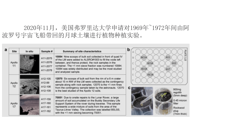 4.1土壤的成分(课件 13张PPT)