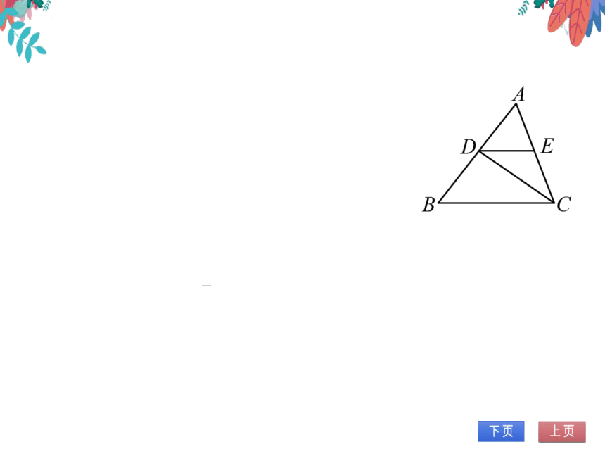 11.2.1第1课时三角形的内角和定理　习题课件