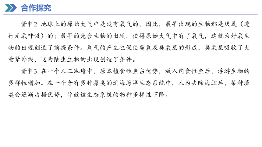 6.4 协同进化与生物多样性的形成 课件(共26张PPT) 2023-2024学年高一生物人教版（2019）必修第二册