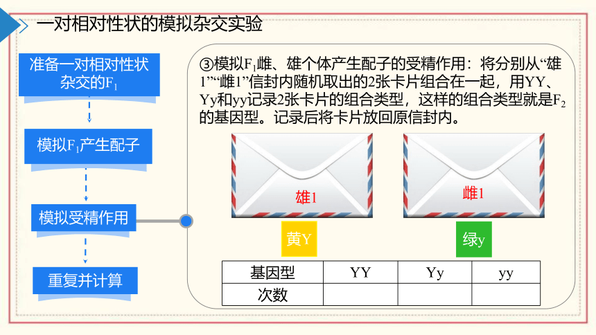 1.2模拟孟德尔杂交实验、两对相对性状的杂交实验及对自由组合现象的解释(共55张PPT)  高中生物 浙科版 必修二