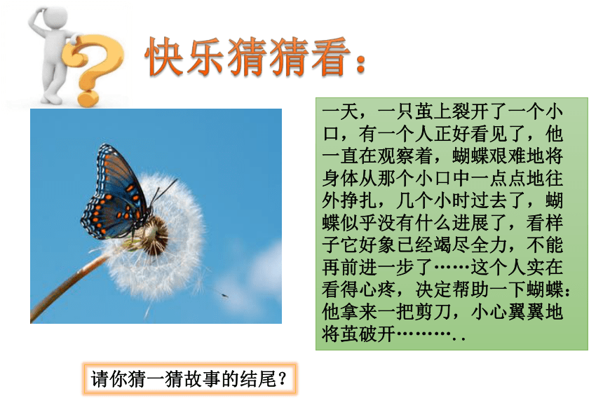 三年级下册心理健康课件-第二十课 你比想象中的自己更强大-挫折与压力应对｜北师大版 （29张PPT）