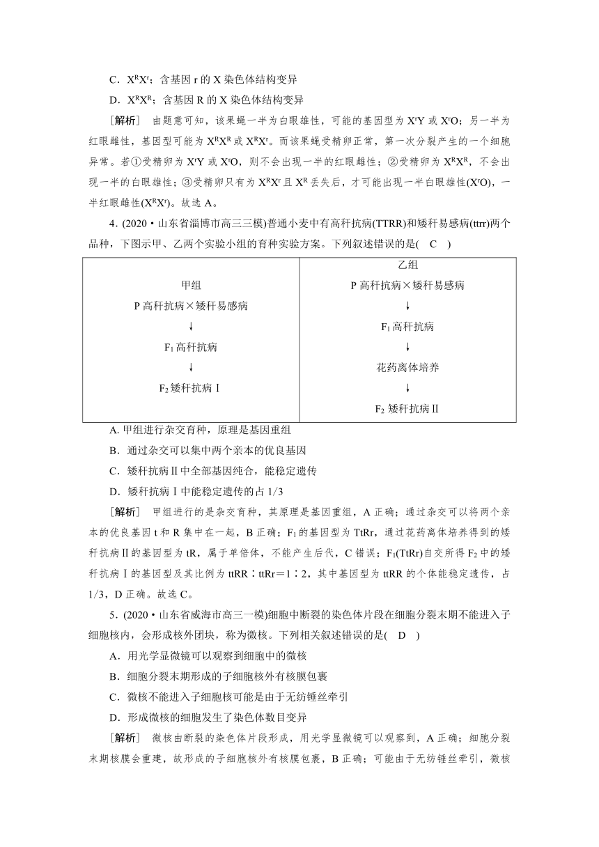 高中生物同步训练案 (21)染色体变异与育种（含答案详解）