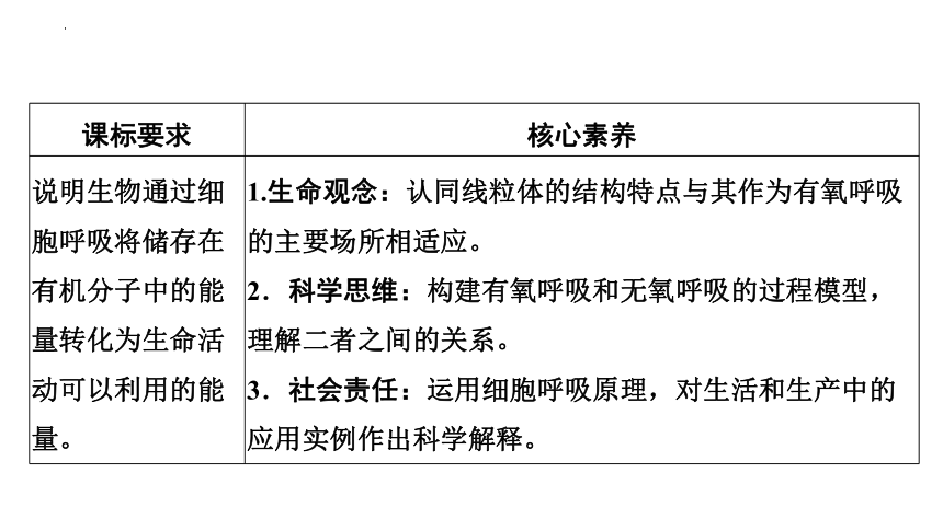 5.3.1 细胞呼吸的原理和应用课件-2022-2023学年高一上学期生物人教版（2019）必修1  课件 (共21张PPT)