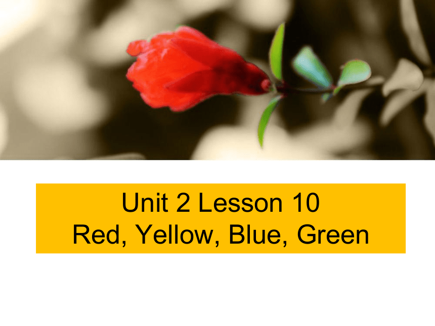 Unit 2 Lesson 10 Red Yellow Blue Green课件（14张）