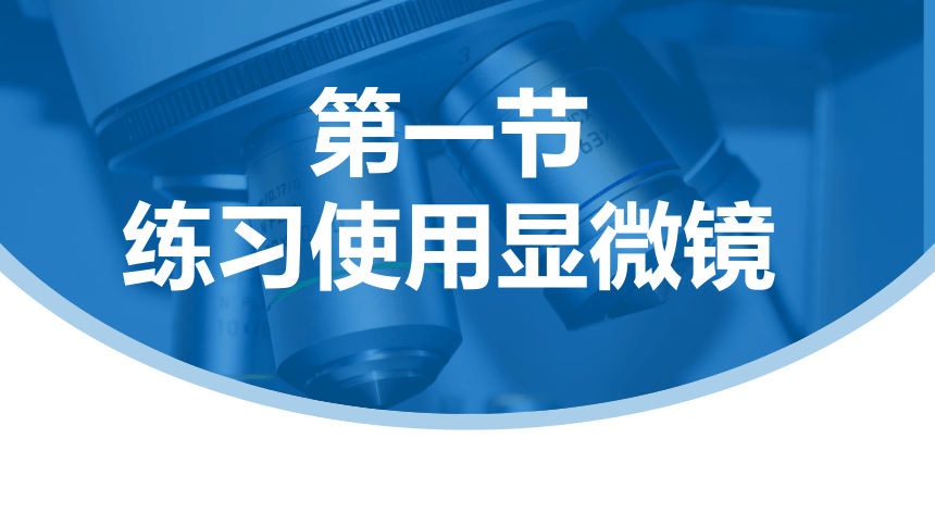 2.1.1练习使用显微镜课件(共21张PPT)人教版初中生物七年级上册