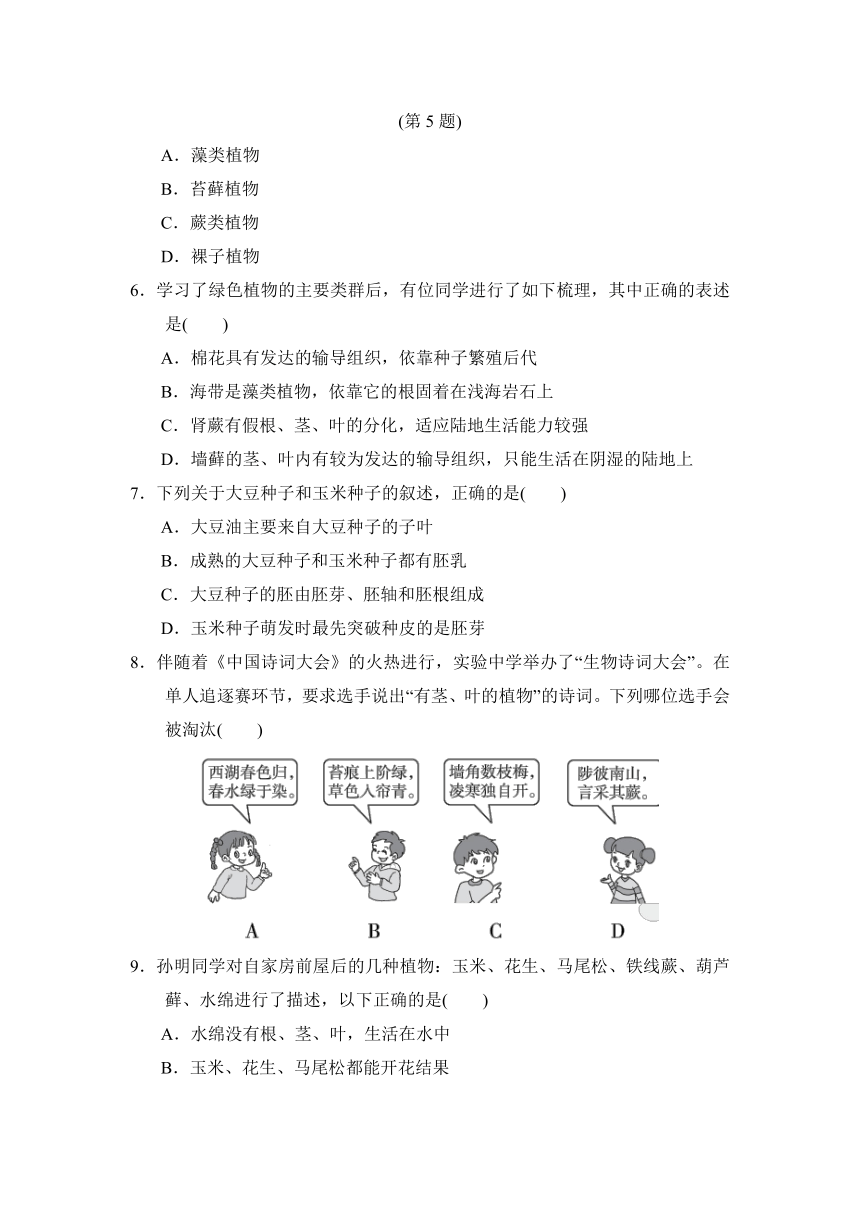 2020年秋人教版七年级上册生物第三单元生物圈中的绿色植物（第一、二章）单元检测 (word版 带答案)