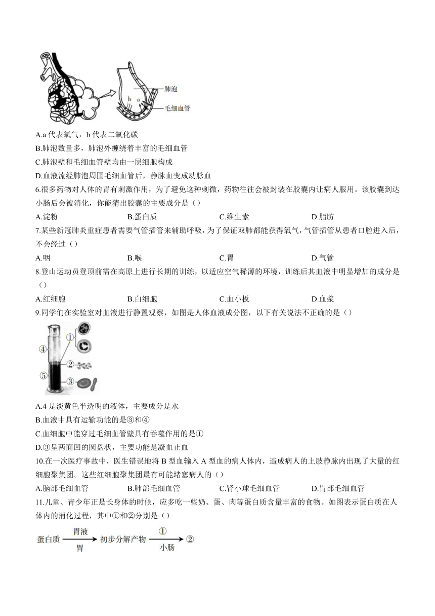 山西省运城市盐湖区2022-2023学年七年级下学期期末生物试题（Word版 含答案）