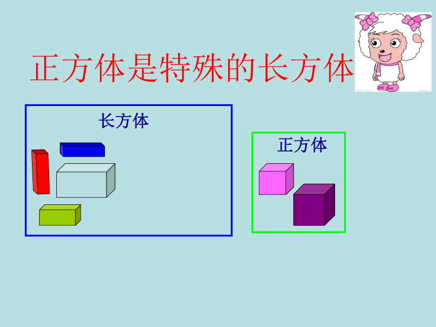 二年级上册数学课件-5.2   几何小实践（正方形、长方形的初步认识） 沪教版 (共18张PPT) (2)