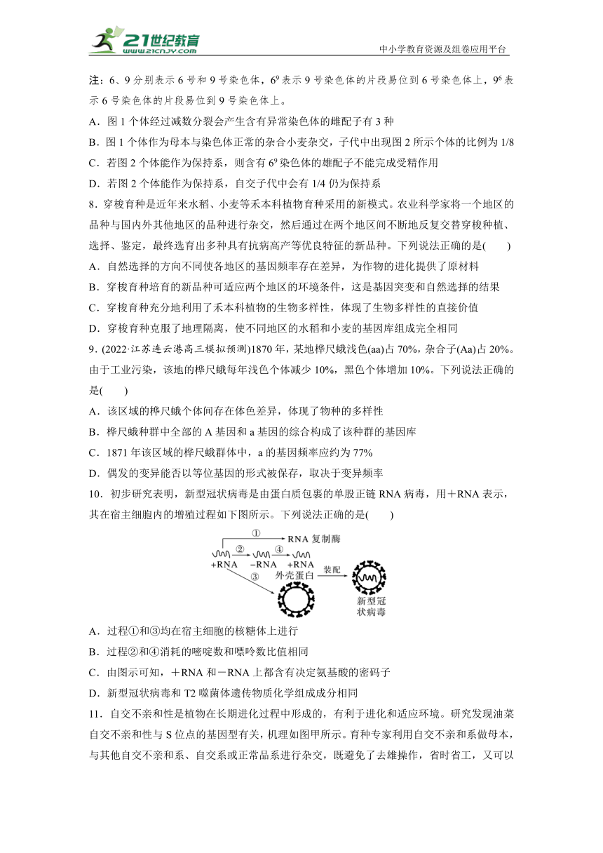 高考生物二轮专题强化训练7　遗传的分子基础、变异和进化（含解析）