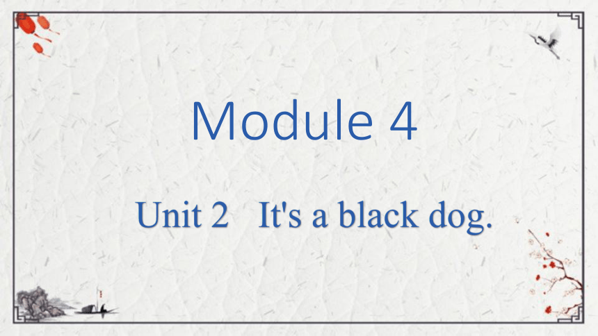 Module 4 Unit 2  It's a black dog课件（共14张PPT)