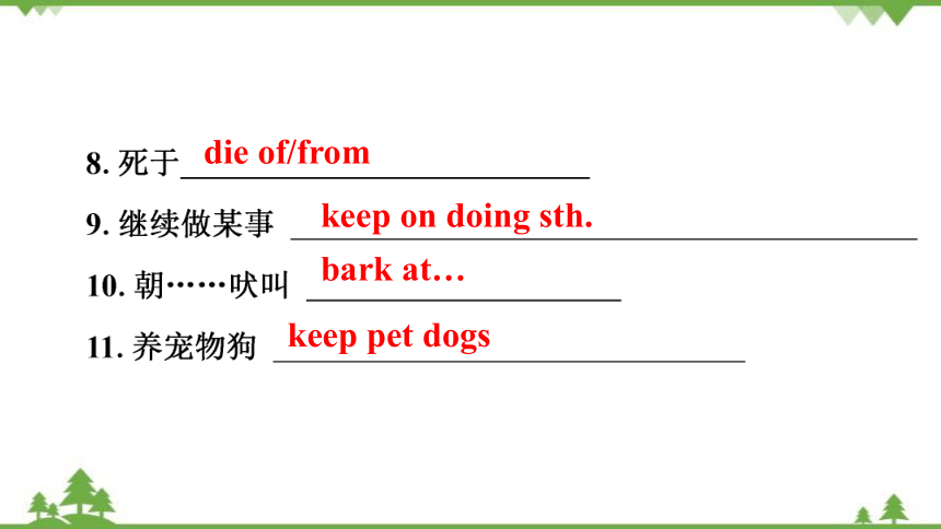 牛津深圳版八年级下册Module 3 Animals Unit 6 Pets 复习课件(共35张PPT)