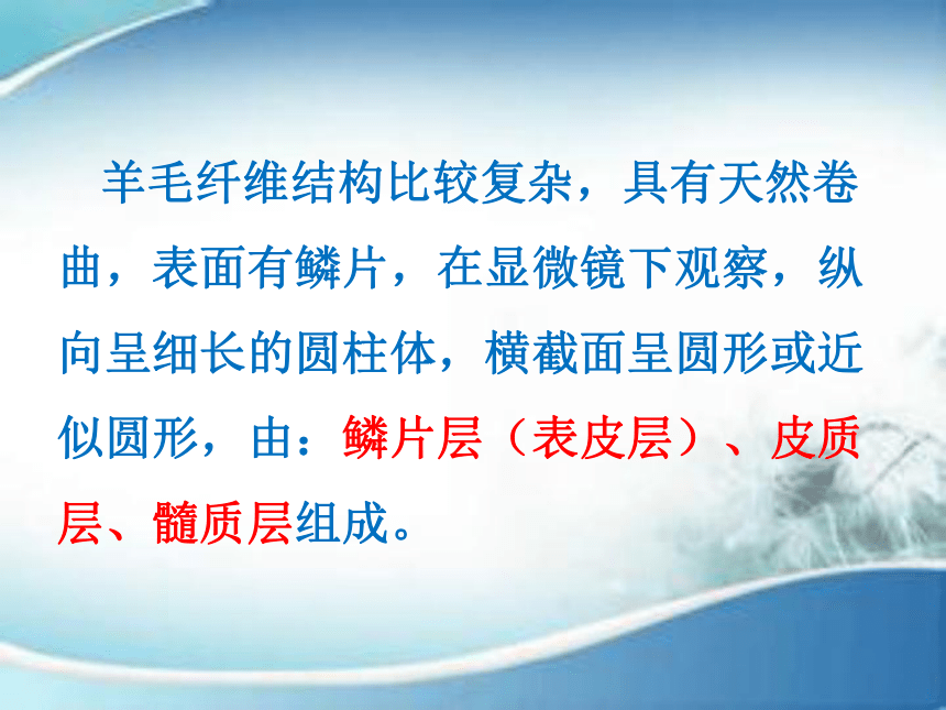 2.3常用天然纤维的性能特点 课件(共74张PPT)-《服装材料》同步教学（中国纺织出版社）