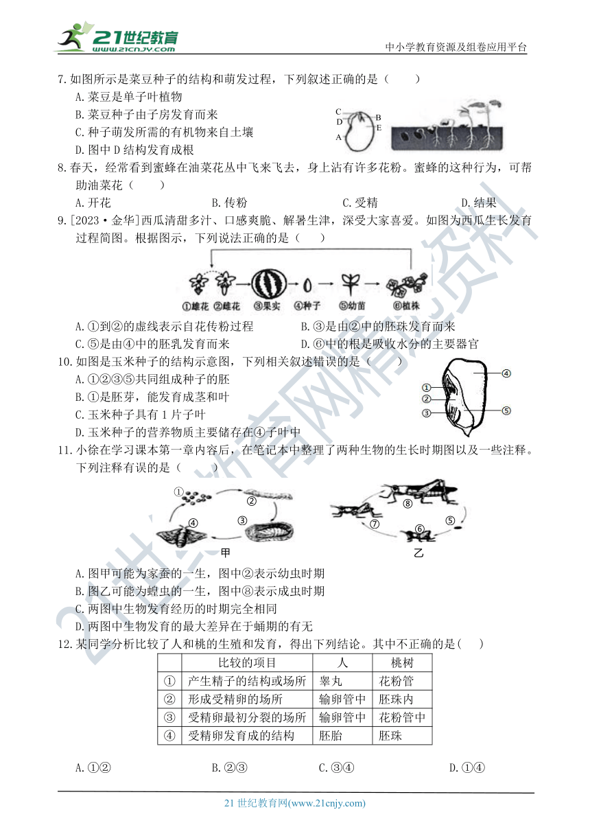 八年级科学暑托作业15（生命的延续）（含答案）