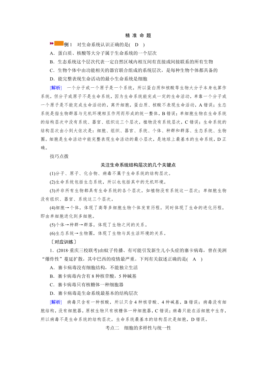 第一单元　走近细胞及组成细胞的分子　单元复习学案（含解析）