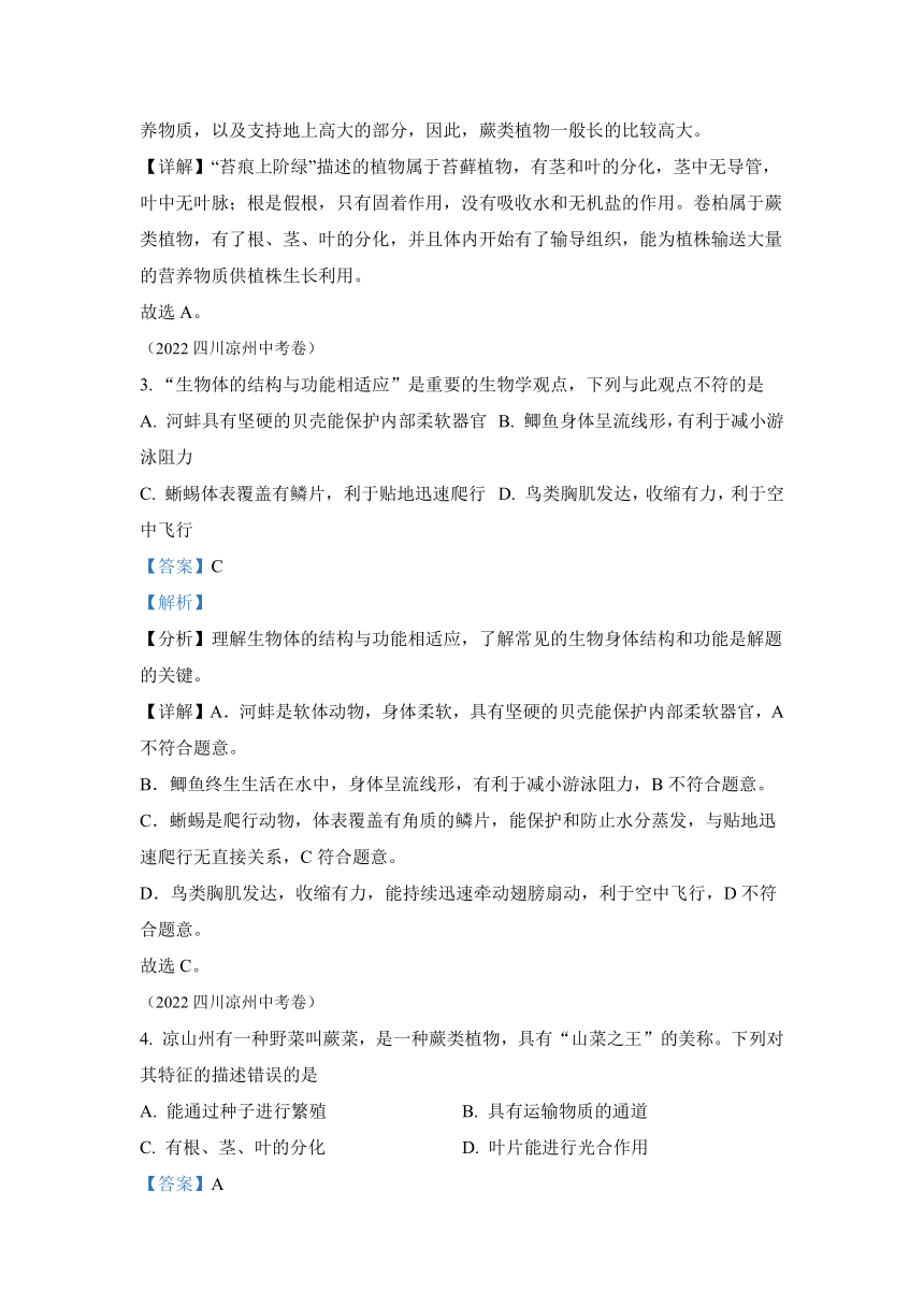 专题09 植物、动物、微生物类群-2022年中考生物真题（全国通用）（试题与答案未分开）