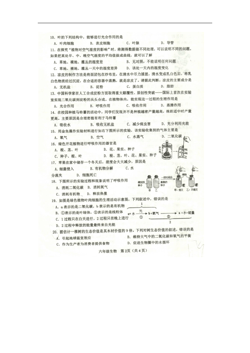 山东省威海市环翠区2022-2023学年六年级下学期期末生物试题（图片版无答案）