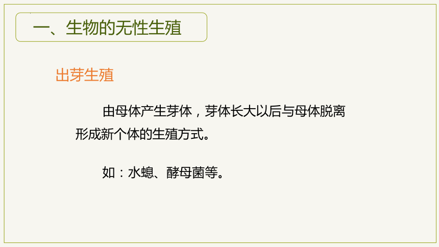 8.21.1生物的无性生殖课件(共21张PPT)八年级生物下册 苏教版