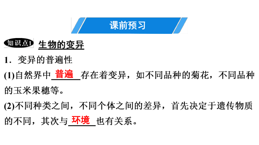 7.2.5 生物的变异 课件(共29张PPT)2023年春人教版八年级生物下册