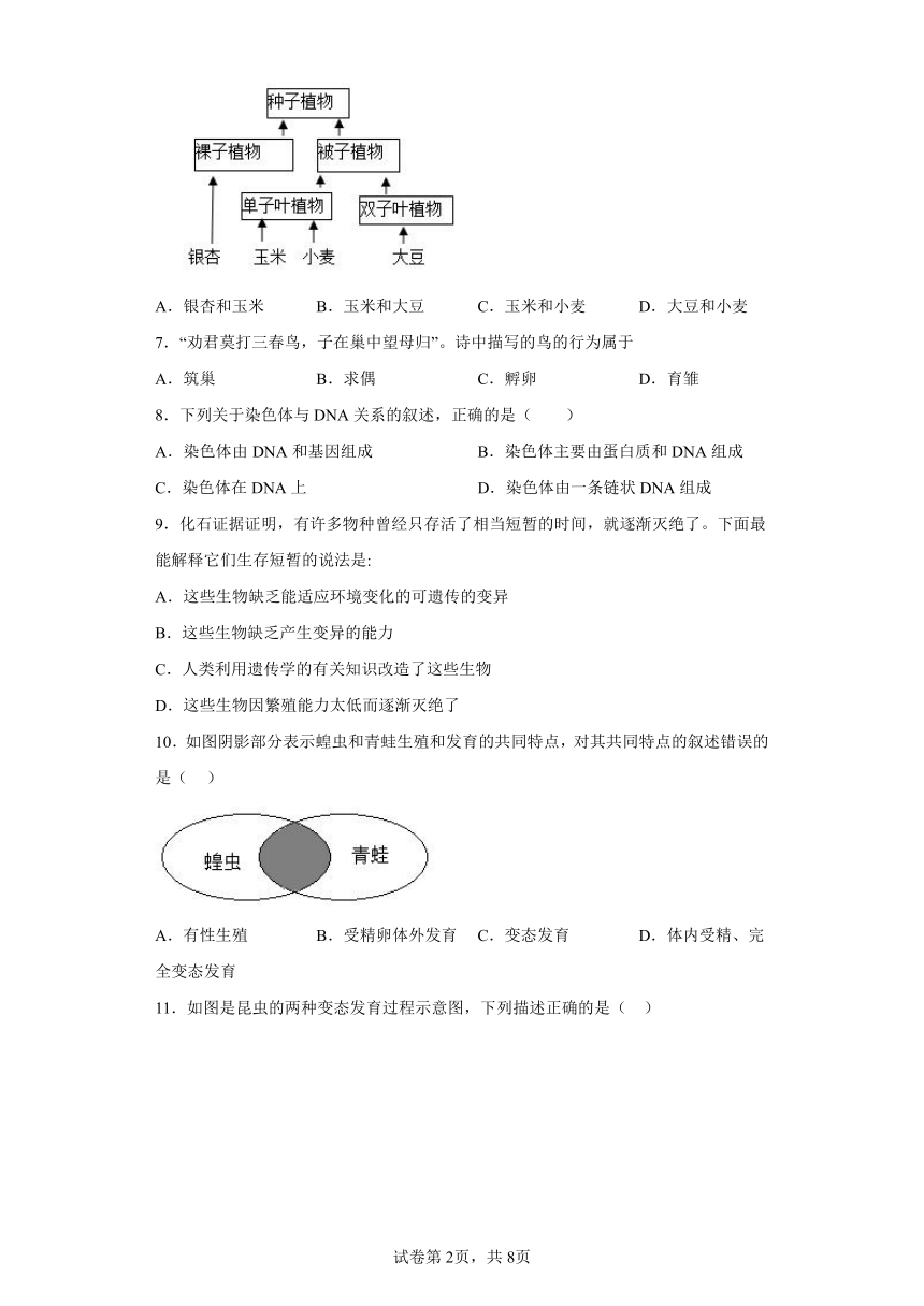 鲁教版生物八年级下册期末检测夯实基础强化训练试题3（含解析）