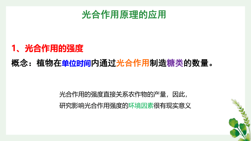 5.4光合作用与能量转化 第三课时（加强课）课件(共27张PPT)2022-2023学年高一上学期生物人教版（2019）必修1