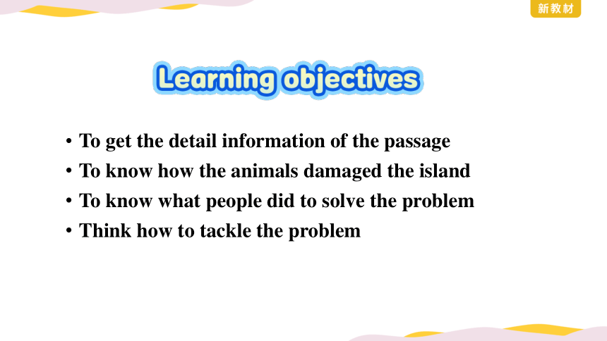 外研版（2019）选择性必修第二册 Unit 5 A delicate world Understanding ideas 课件（33张PPT）