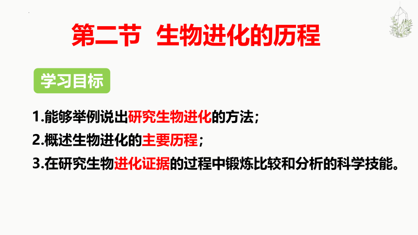 7.3.2生物进化的历程课件 （第23张PPT）人教版生物八年级下册