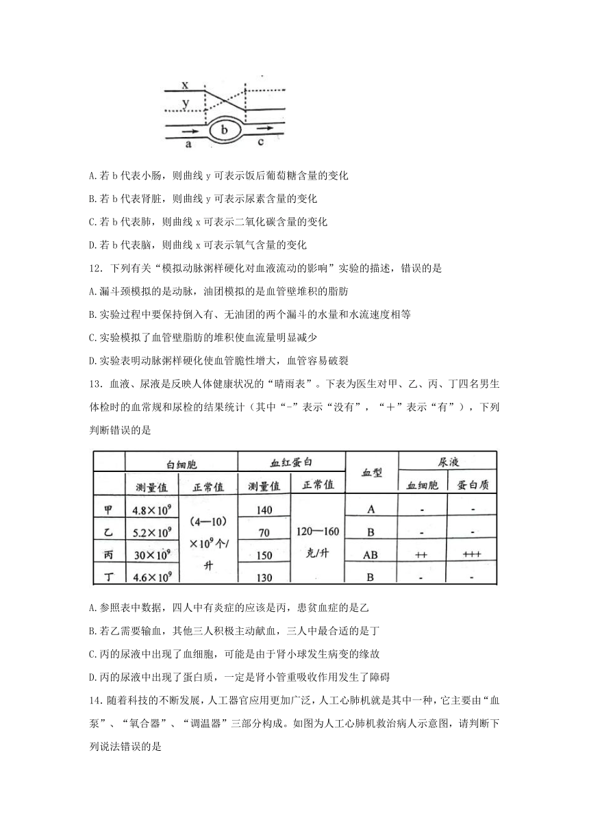 山东省泰安市肥城市（五四学制）实验中学2021-2022学年七年级上学期期末考试生物试题（word版含答案）