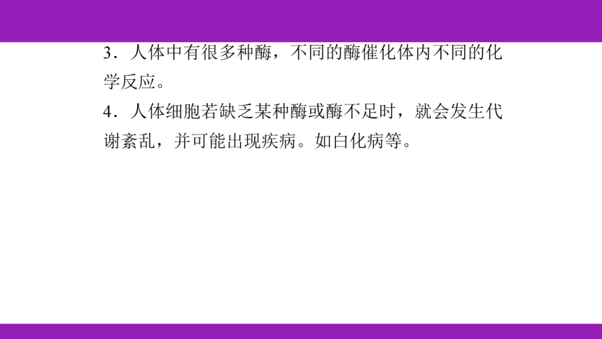 2023浙江中考一轮复习 第6课时 人体的物质和能量转换（一）（课件 50张ppt）