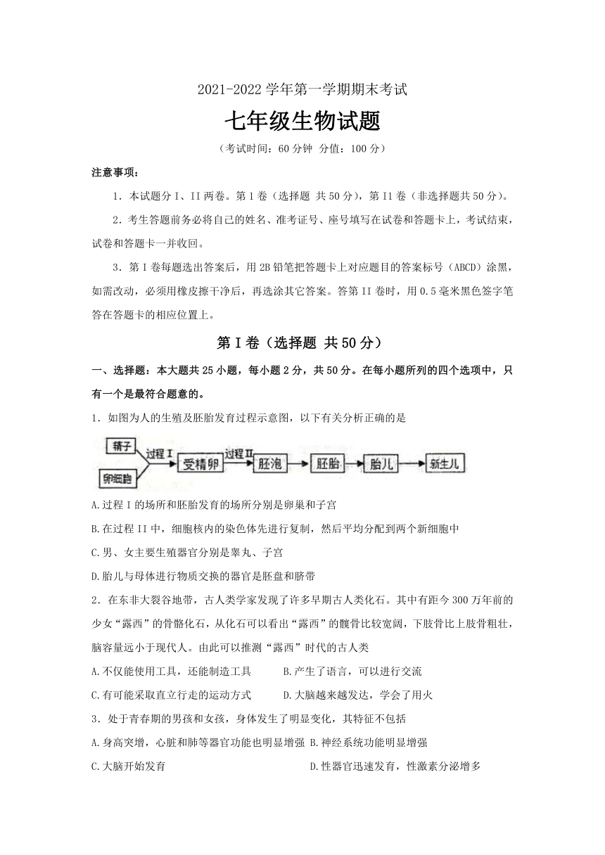 山东省东营市广饶县（五四学制）2021-2022学年七年级上学期期末生物试题（word版无答案）