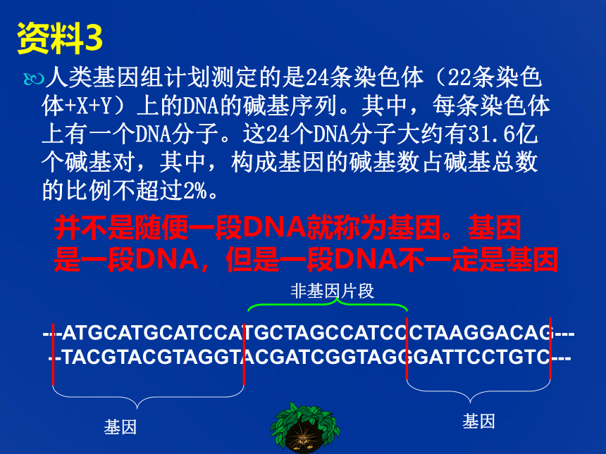 2.3.4基因是有遗传效应的DNA片段（共15张PPT）