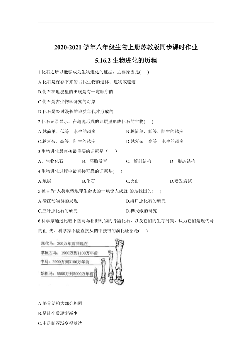 5.16.2 生物进化的历程 课时作业（含解析）