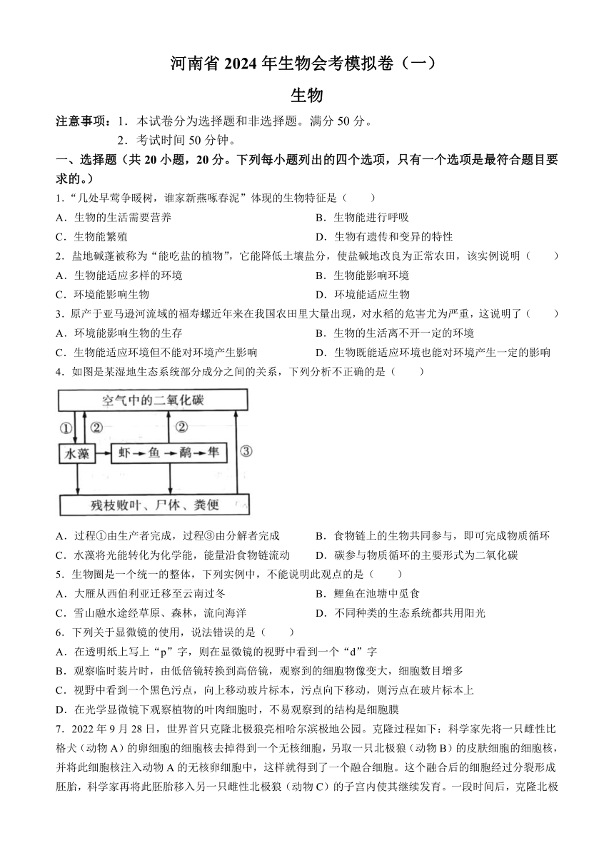 2024年河南省周口市郸城县模拟预测生物试题（含答案）