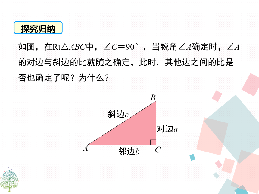 24.3.1锐角三角函数 课件 华东师大版数学九年级上册（1）(21张）