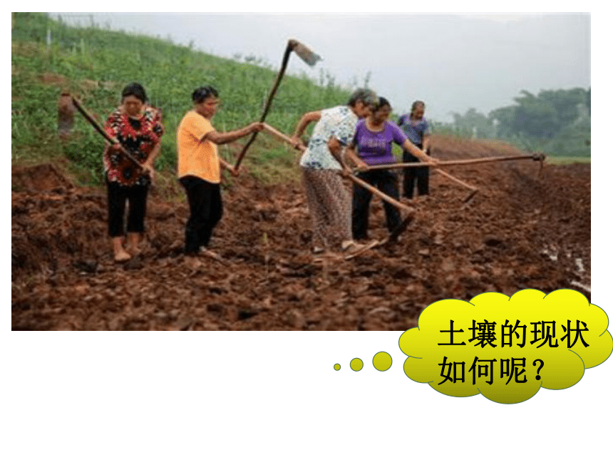 4.6 保护土壤 课件（22张PPT）